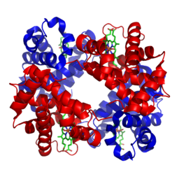 Haemoglobin